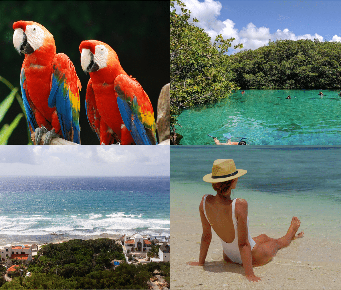 Discover Tankah Bay